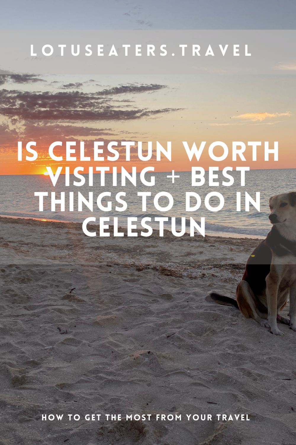 Is Celestun worth visiting + Best things to do in Celestun