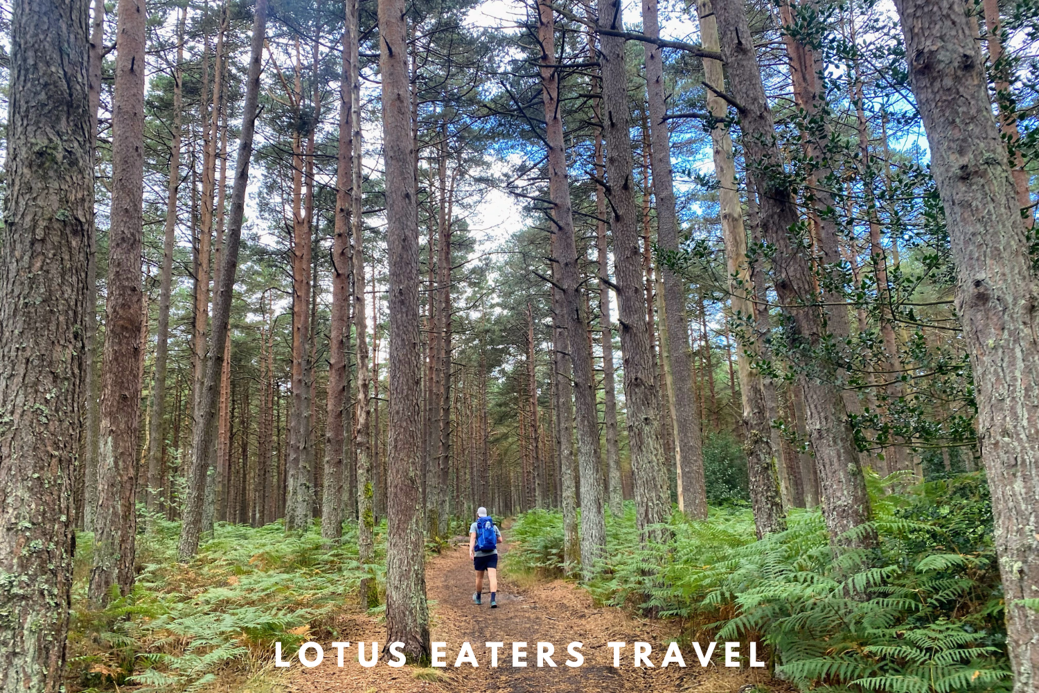 When is the best time of the year to walk the Camino de Santiago