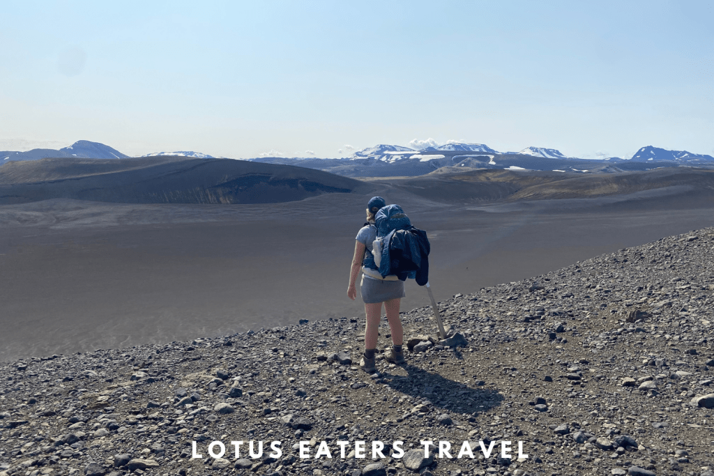 Lotus-Eaters-Banners-and-Cover